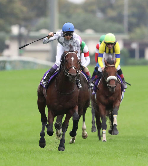 天皇賞・秋ドウデュースはレーティング122ポンドで今年の日本馬最高値