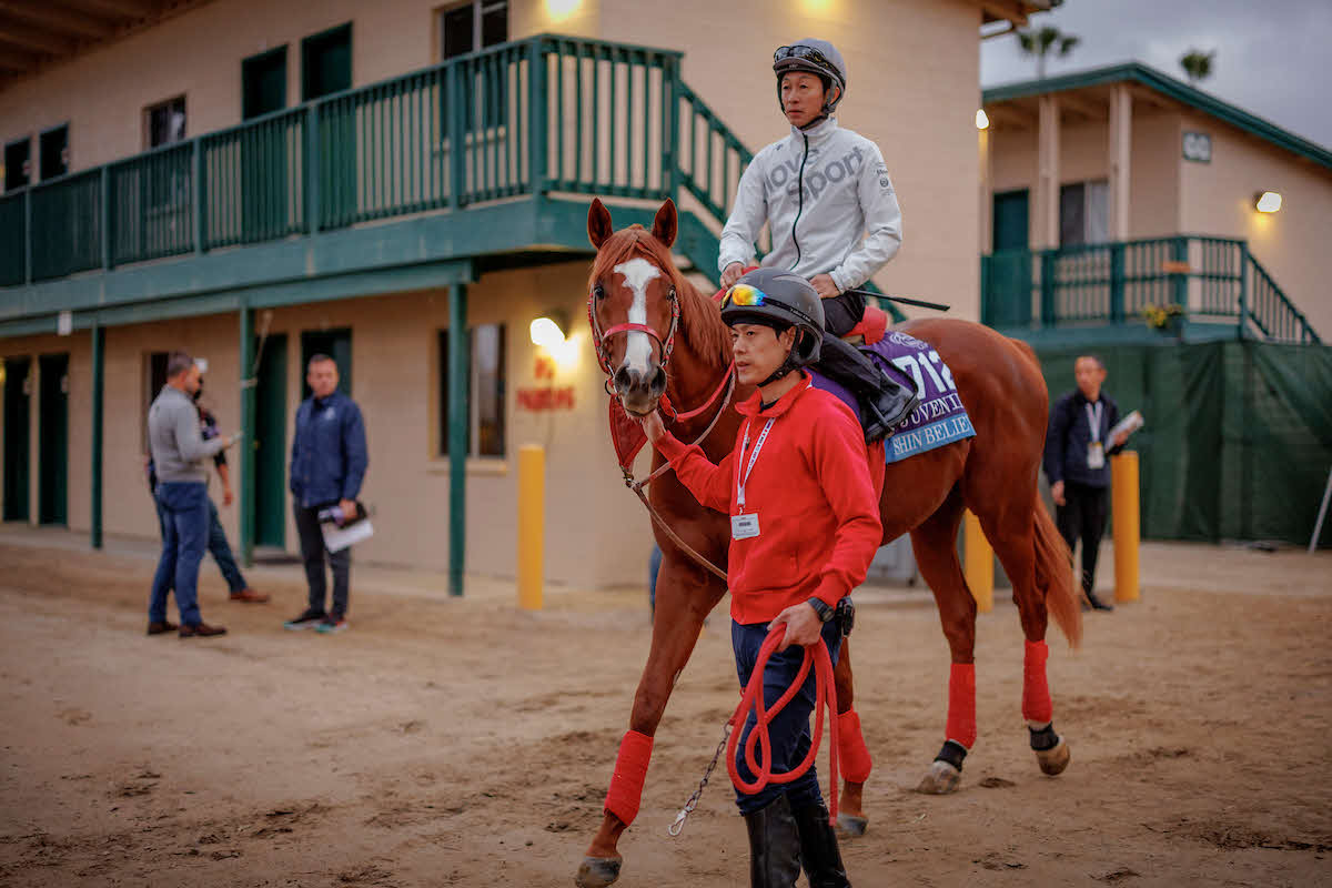 馬場に向かうシンビリーブと武豊騎手（C）Evers／Eclipse　Sportswire／Breeders　Cup