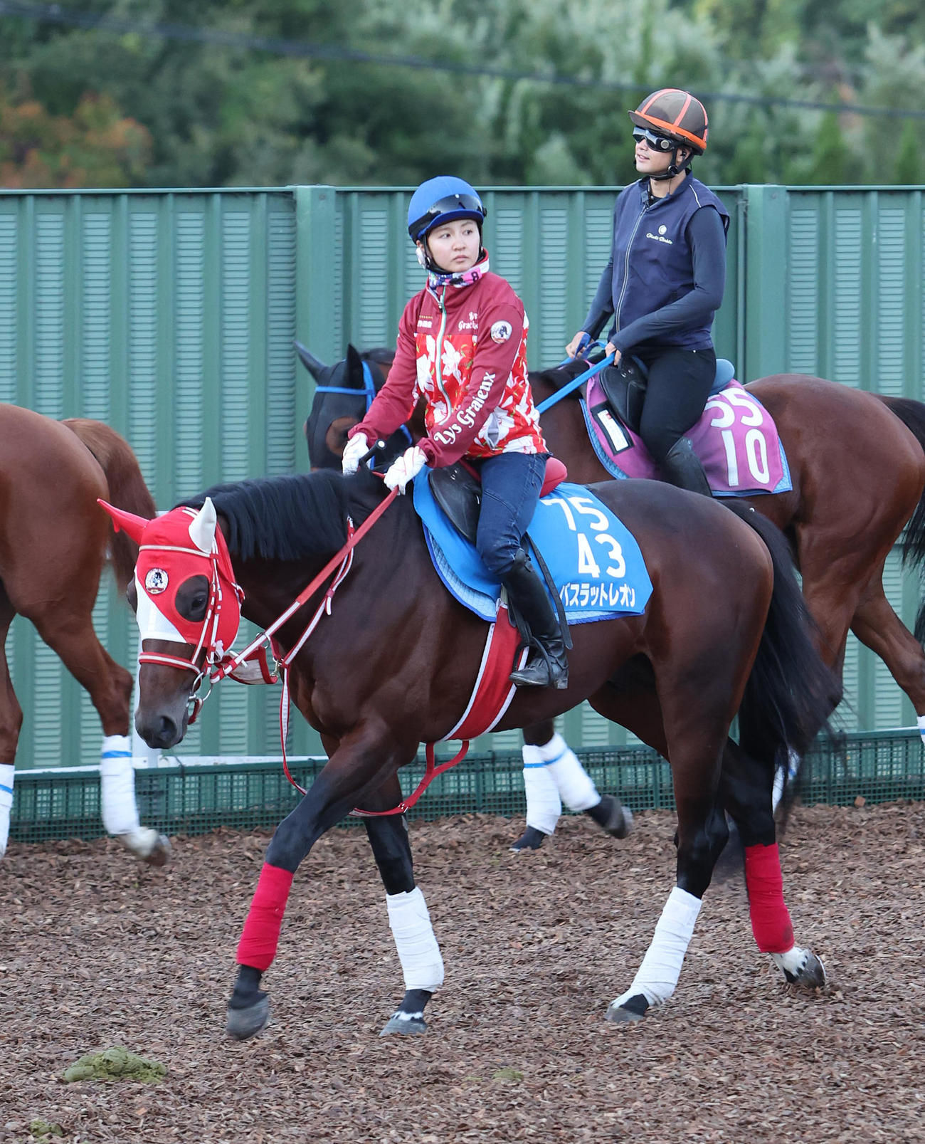古川奈騎手を背に角馬場で運動するバスラットレオン（撮影・白石智彦）