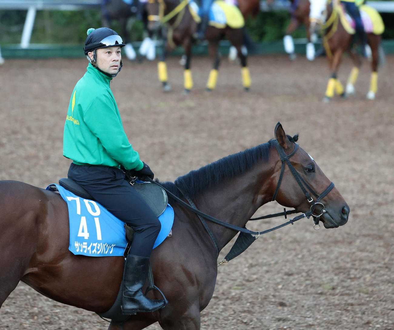 角馬場で運動するサンライズジパング（撮影・白石智彦）
