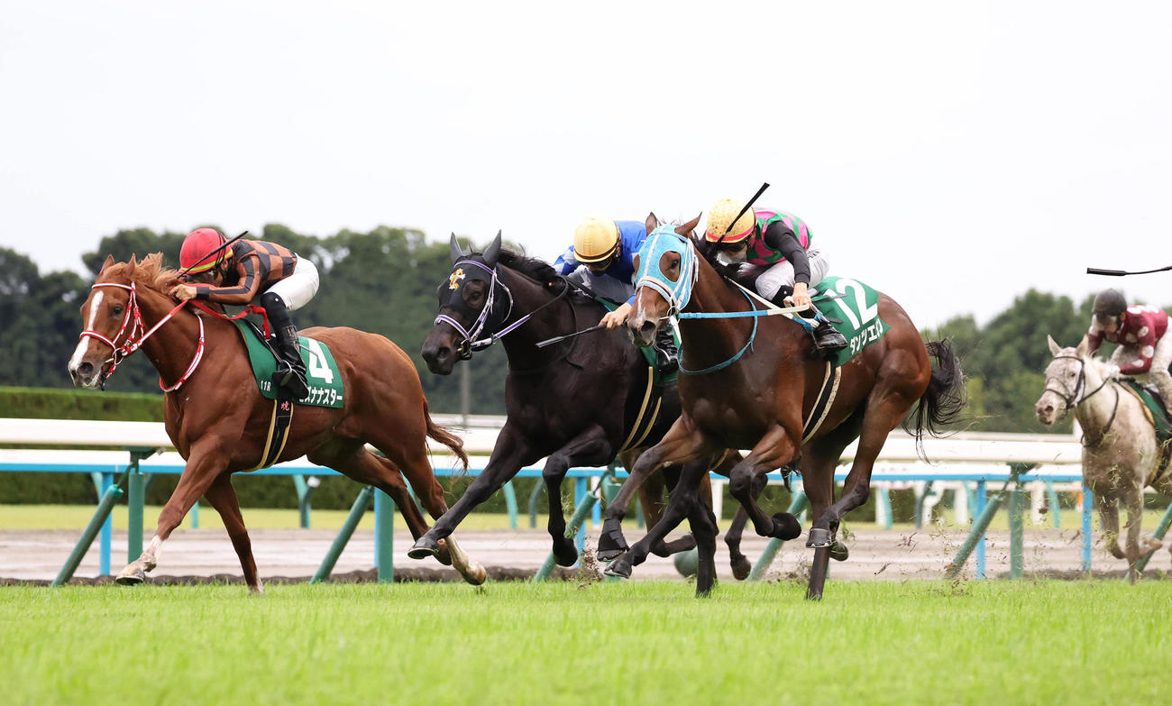ゴール前の接戦を制してファンタジーSを勝利したダンツエラン（右）（撮影・白石智彦）