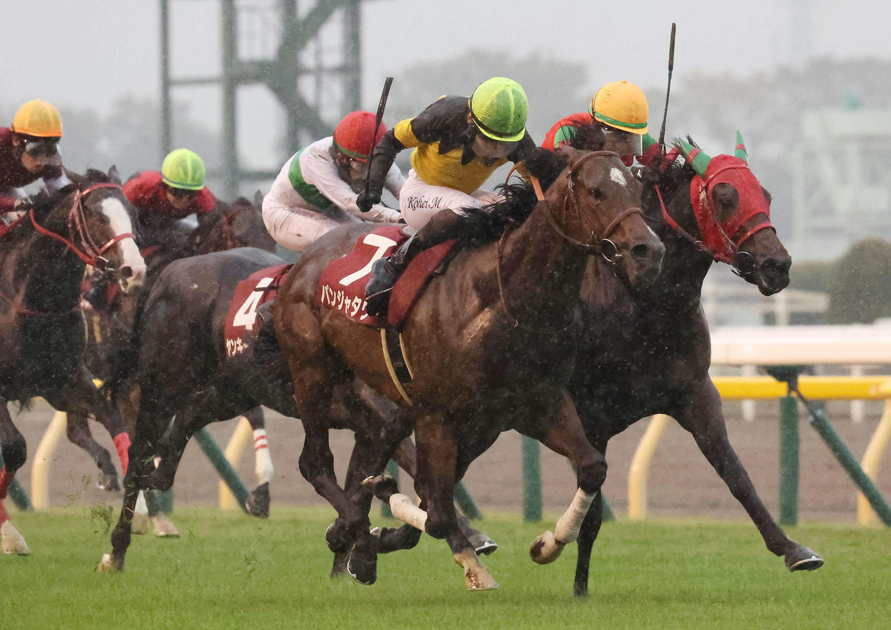 マイネルチケット（右）との競り合いを制して京王杯2歳Sに勝利したパンジャタワーと松山騎手