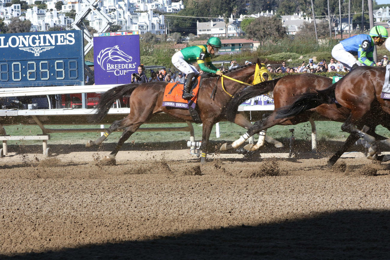 道中後方のインを追走する10着馬ウシュバテソーロ