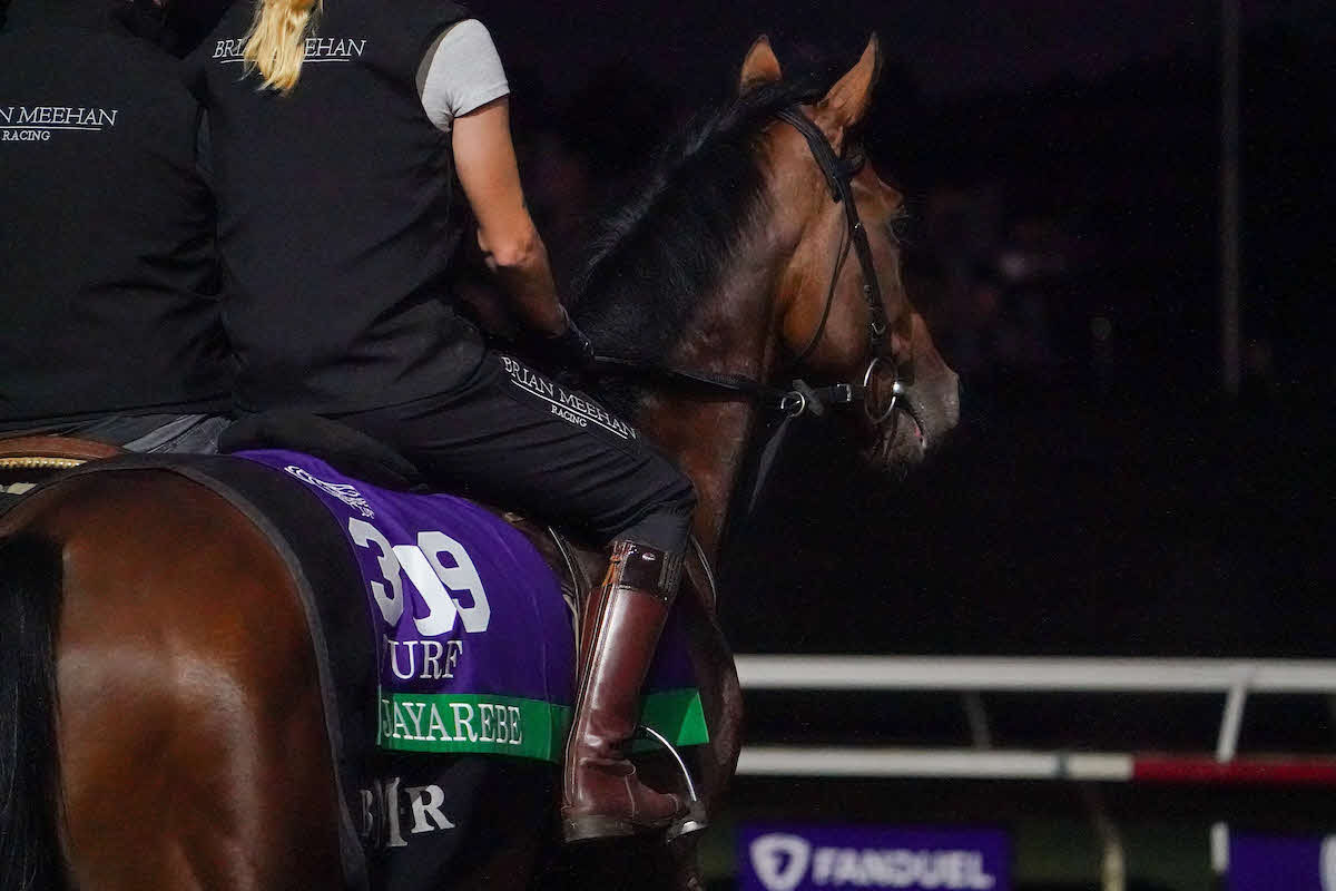 BCターフに出走したジェイアービー（C）Shamela　Hanley／Eclipse　Sportswire