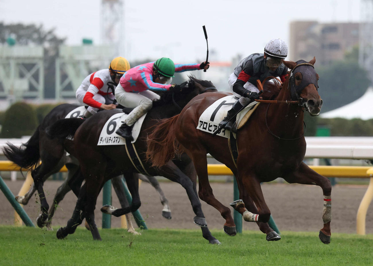 東京5R、2歳新馬戦を制したアロヒアリイと戸崎騎手（撮影・丹羽敏通）