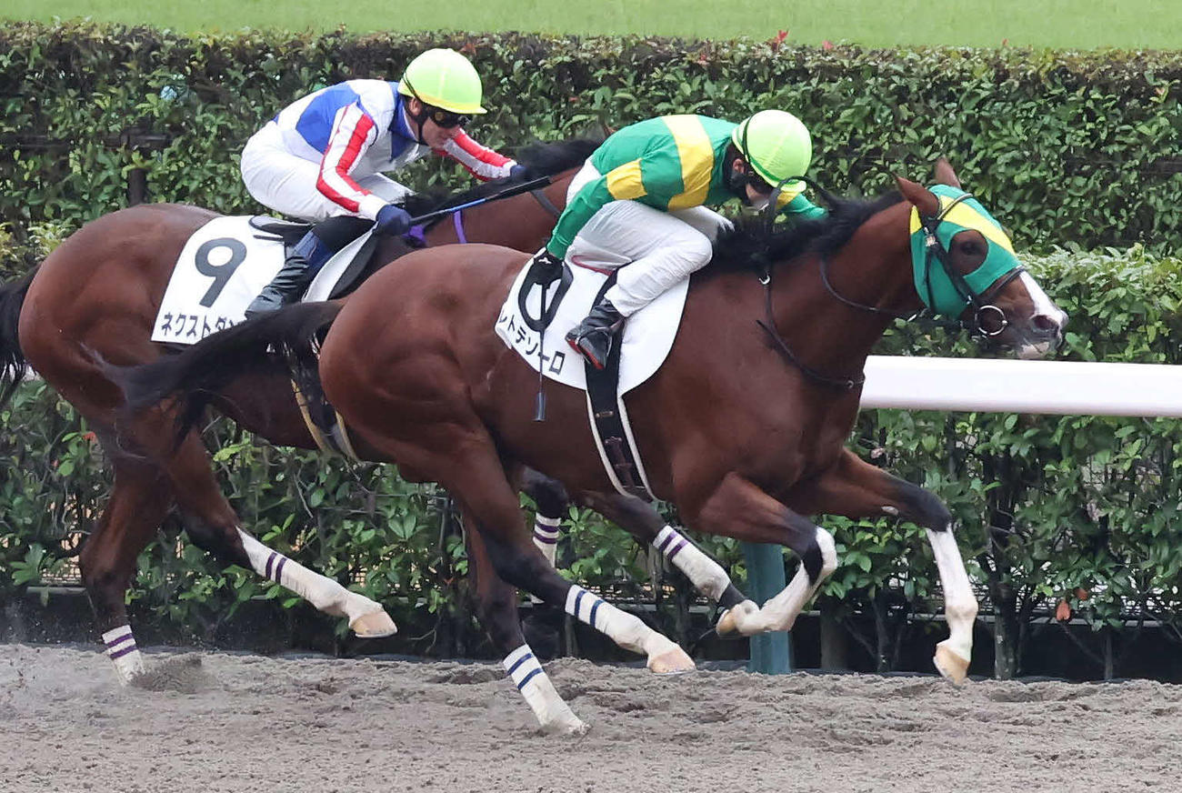 東京6R、2歳新馬戦を制したボルトテソーロと松山騎手（撮影・丹羽敏通）