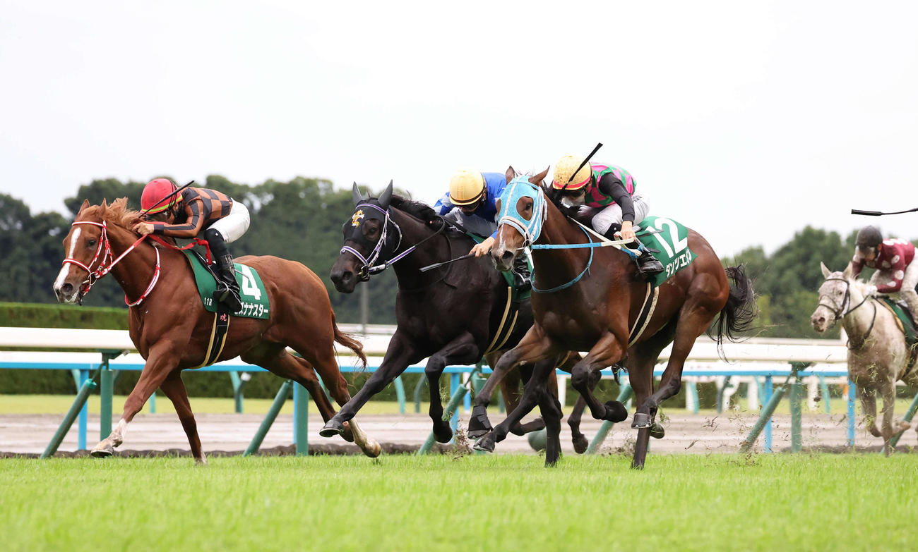 京都11R、ダンツエラン（右）はゴール前の接戦を制しファンタジーSを勝利（撮影・白石智彦）