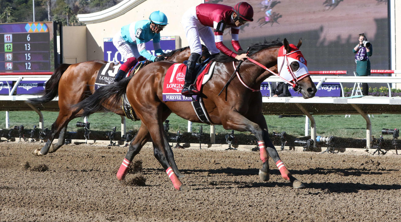 BCクラシックで3位に入線したフォーエバーヤング