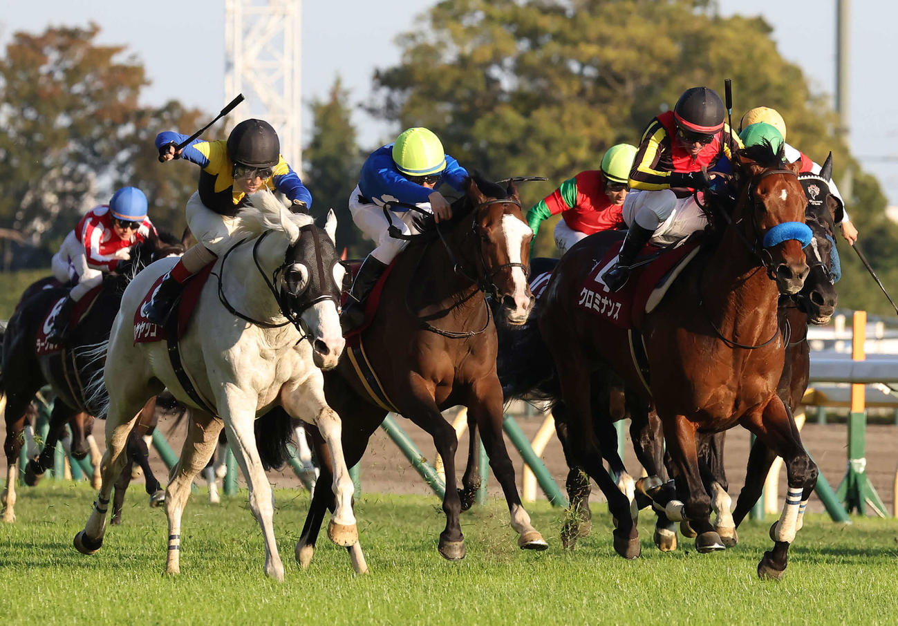 直線力強く伸びてアルゼンチン共和国杯を制したハヤヤッコと吉田豊騎手（左）。右は2着クロミナンス