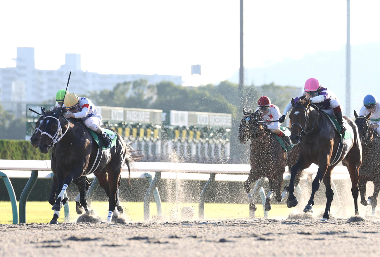 みやこS2着に入ったアウトレンジ（左）。右は勝ったサンライズジパング
