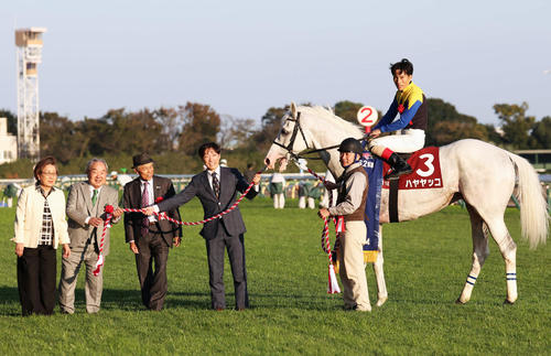 8歳馬ハヤヤッコ激走に国枝師も驚き「びっくりだよ。俺も見習わないと