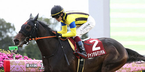 直線抜け出してデイリー杯2歳Sを快勝したジャンタルマンタル（撮影・白石智彦）＝2023年11月11日、京都競馬場