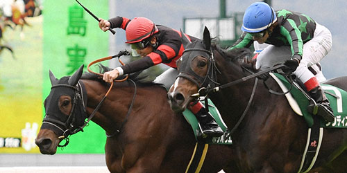 福島記念を制したホウオウエミーズ（左）、右は2着ダンディズム（撮影・柴田隆二）＝2023年11月12日、福島競馬場