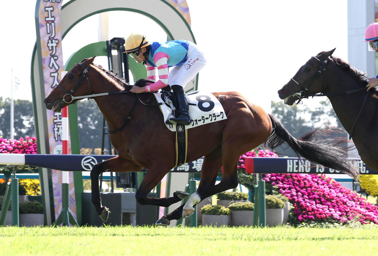 京都5R、直線抜け出して新馬戦を制したウォータークラーク（撮影・白石智彦）