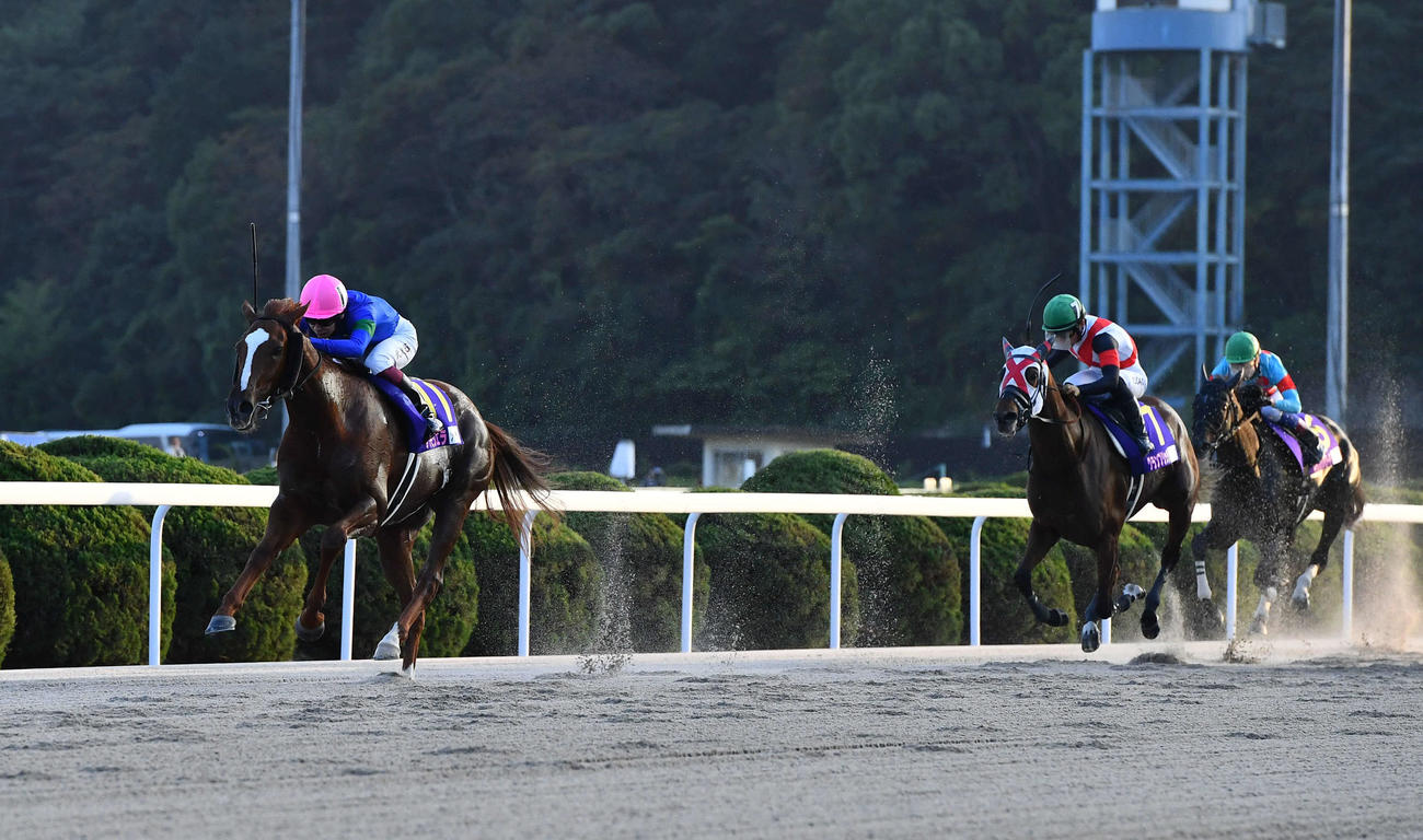 佐賀9R・JBCレディスクラシック　4馬身差をつけて勝利したアンモシエラと横山武騎手（撮影・岩下翔太）