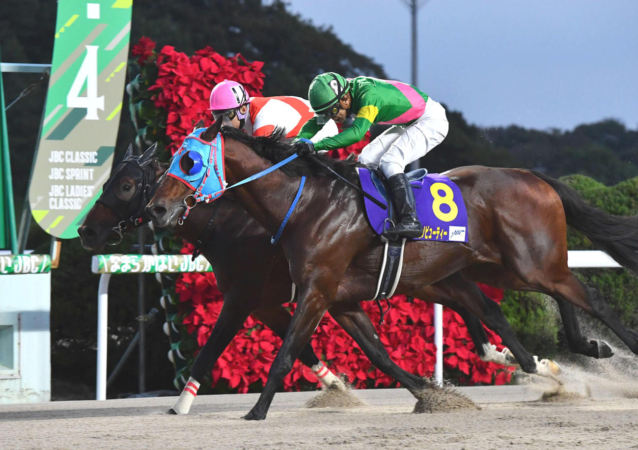 JBCスプリントを制したタガノビューティーと石橋騎手（撮影・岩下翔太）