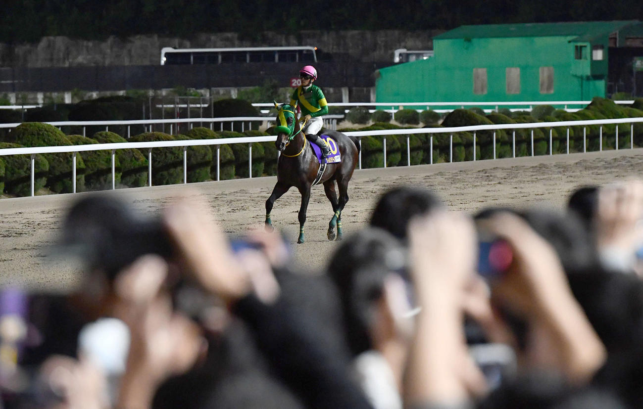 JBCクラシックを制し、ウイニングランを行うウィルソンテソーロと川田騎手（撮影・岩下翔太）