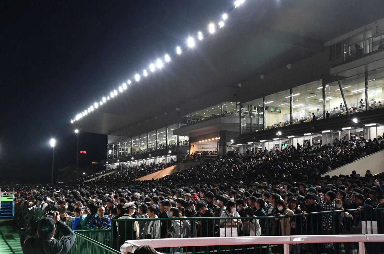 JBCクラシックの開催に伴い、観客で埋めつくされる佐賀競馬場（撮影・岩下翔太）