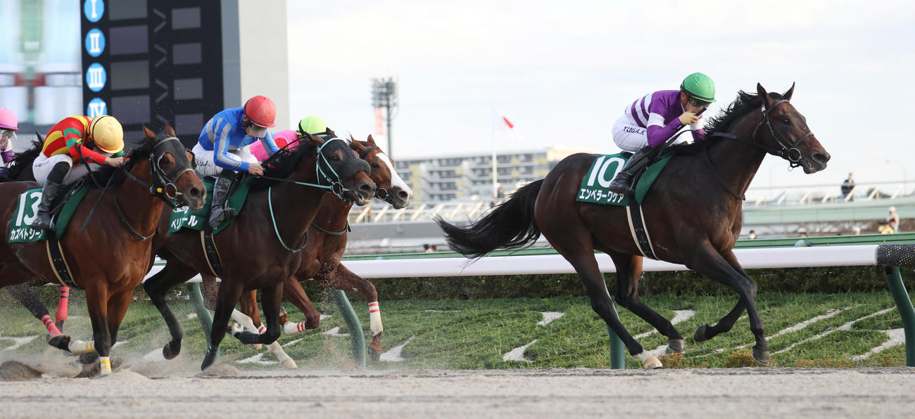 直線で鋭く抜け出し武蔵野Sを制したエンペラーワケア。左から2着カズペトシーン、3着ペリエール