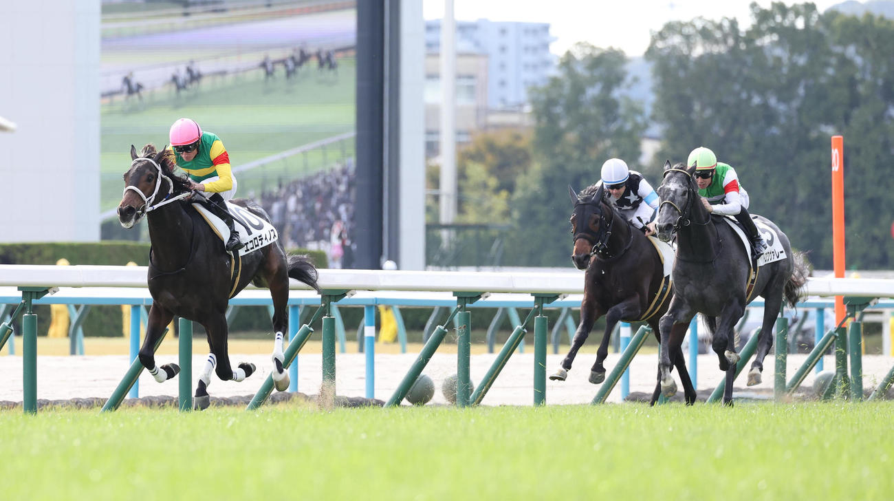 京都5R、ムーア騎手を背に新馬戦を制したエコロディノス（左）（撮影・白石智彦）