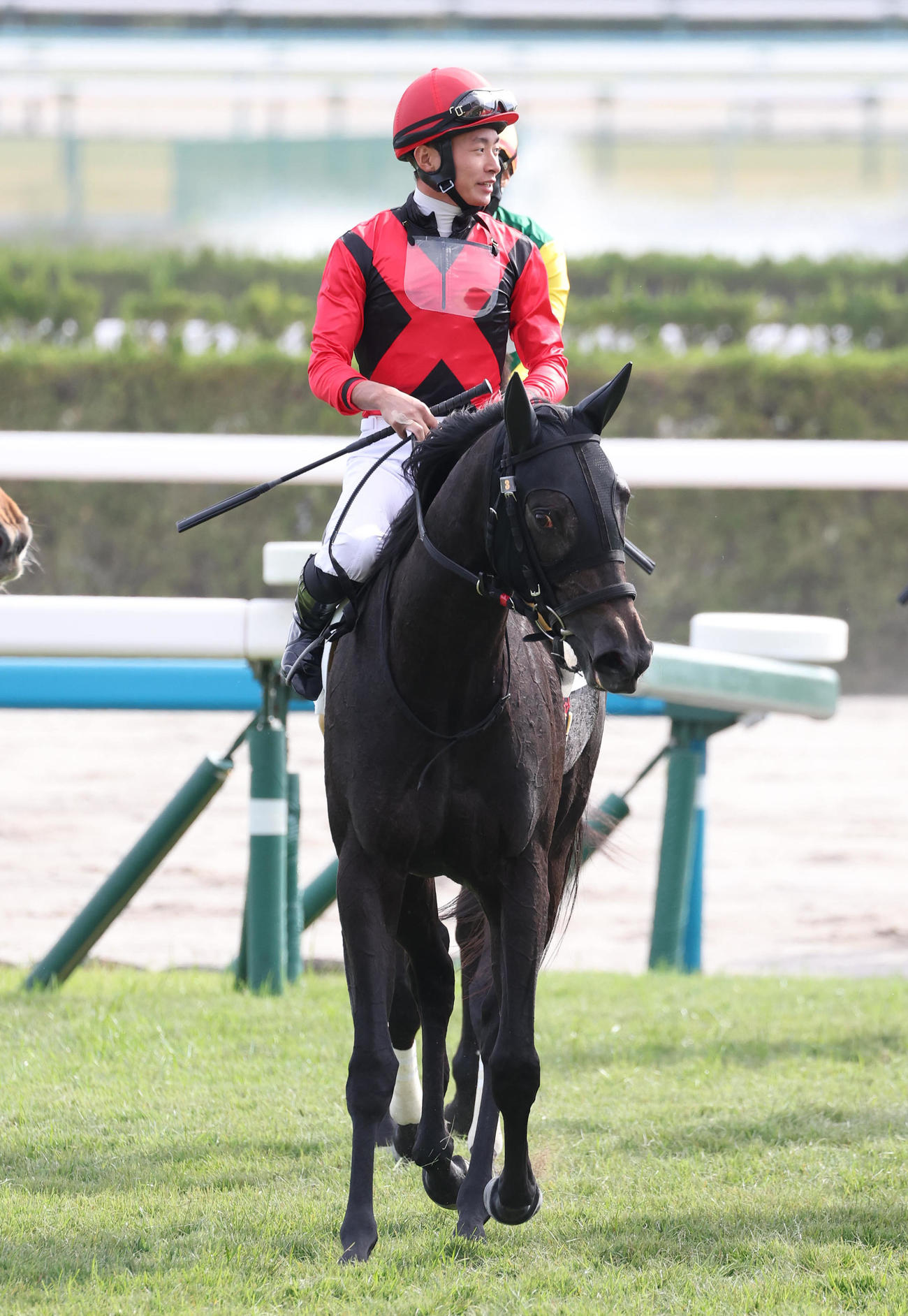 京都4R、新馬戦を制したアスタールフナ（撮影・白石智彦）