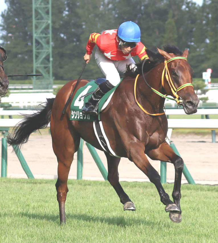 新潟記念を制したシンリョクカと木幡初騎手（右端）（撮影・丹羽敏通）