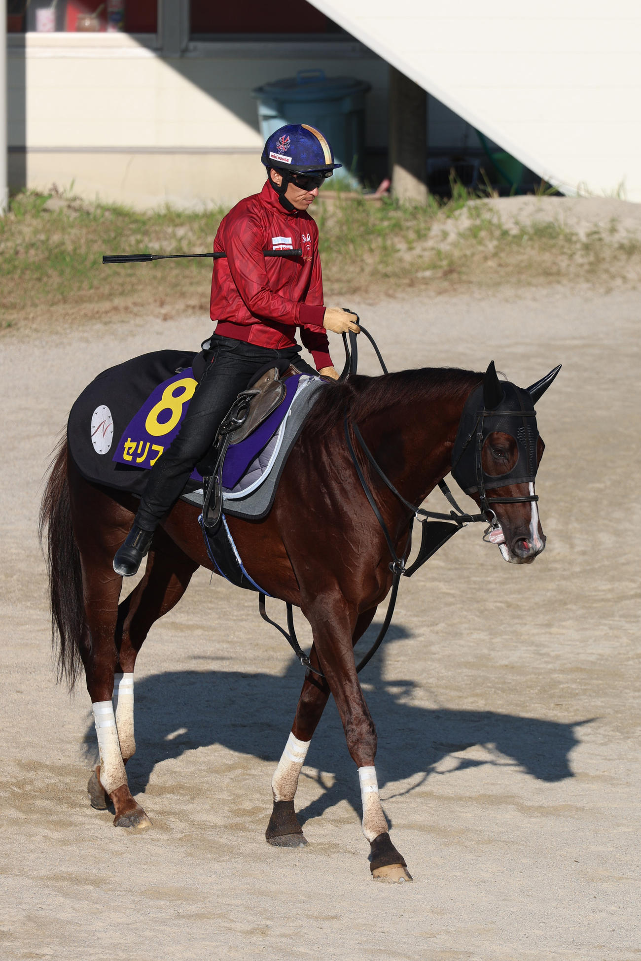 追い切りを終え、引き揚げる川田騎手騎乗のセリフォス