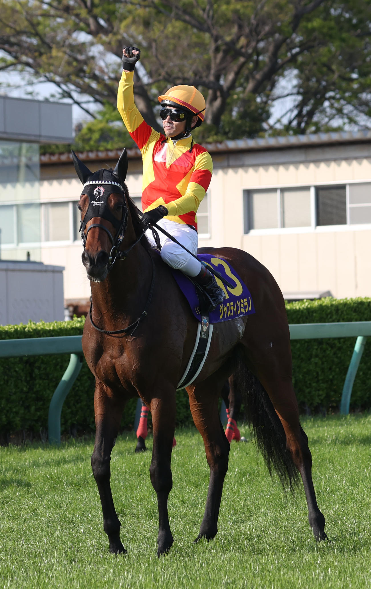 皐月賞を制したジャスティンミラノの戸崎騎手はガッツポーズする（2024年4月14日撮影）