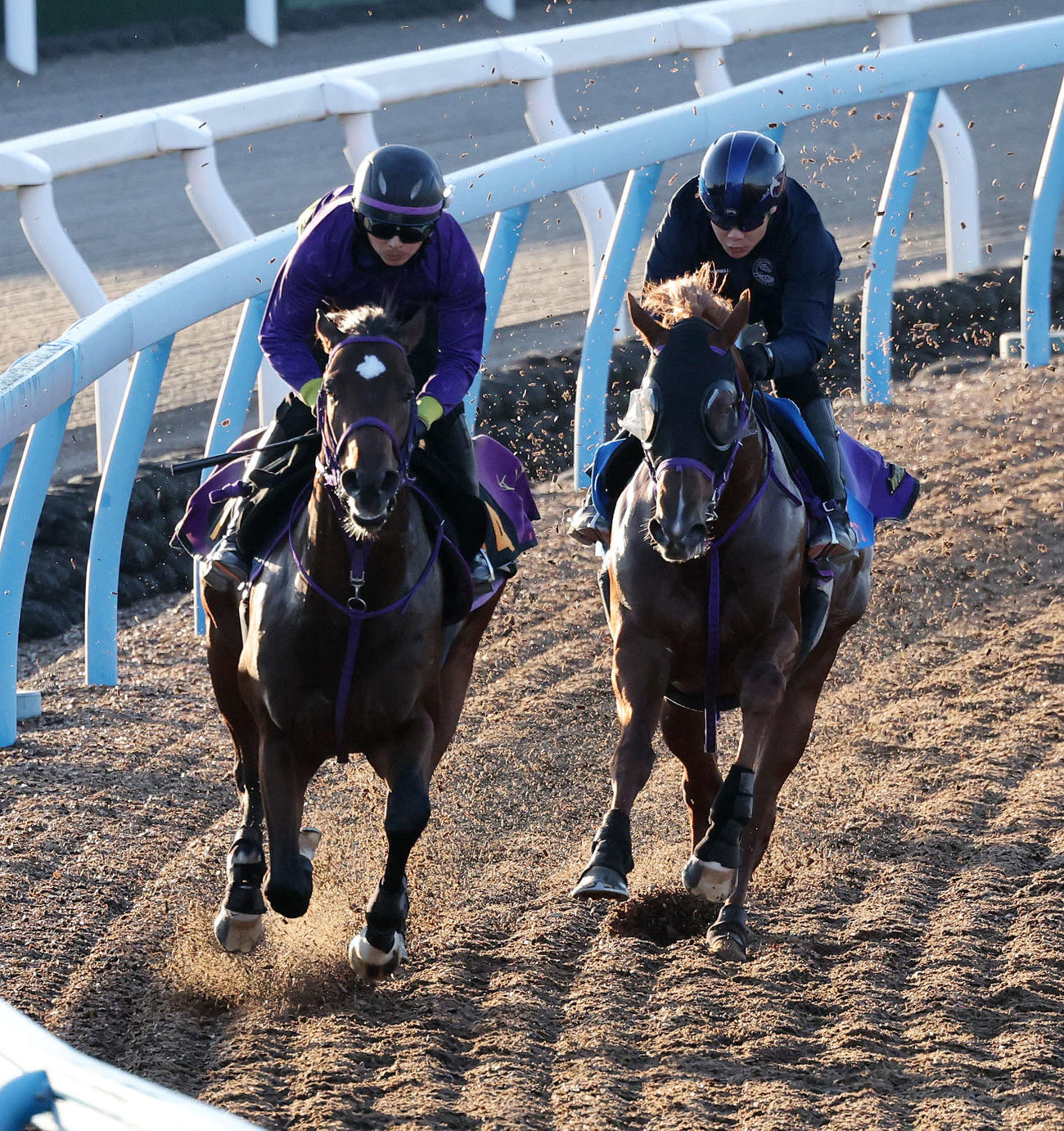 13日、ニシノイストワール（左）は美浦ウッドでウインカーネリアンと併せて追い切られた