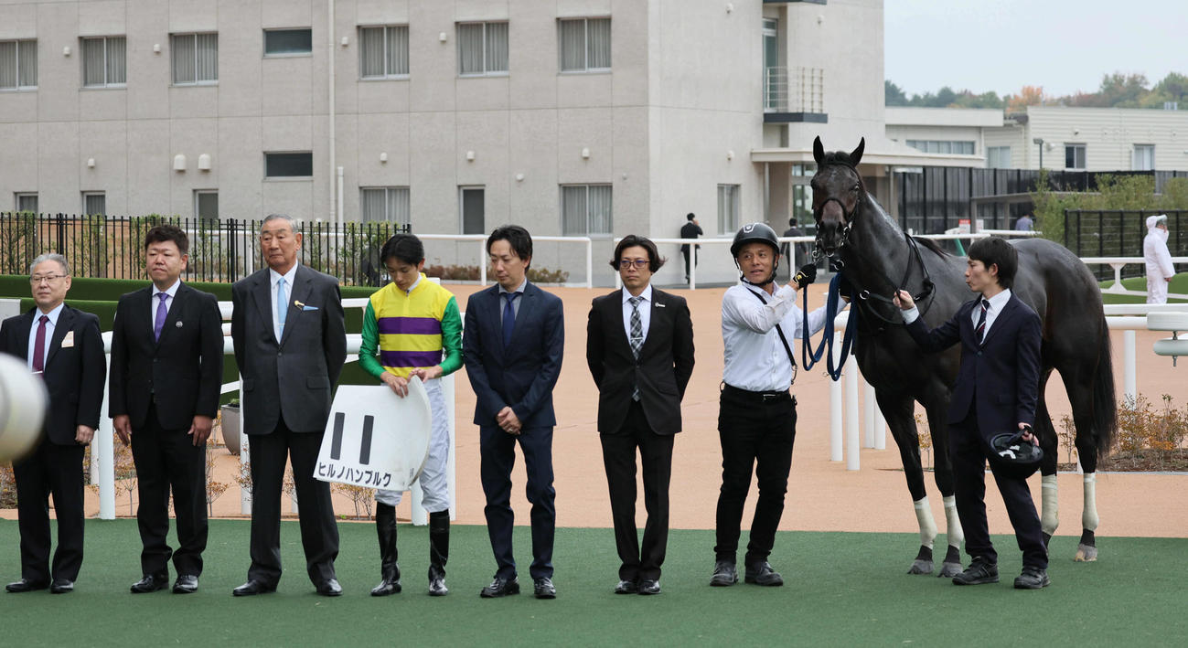 京都6R、新馬戦を制したヒルノハンブルク（撮影・宮崎幸一）