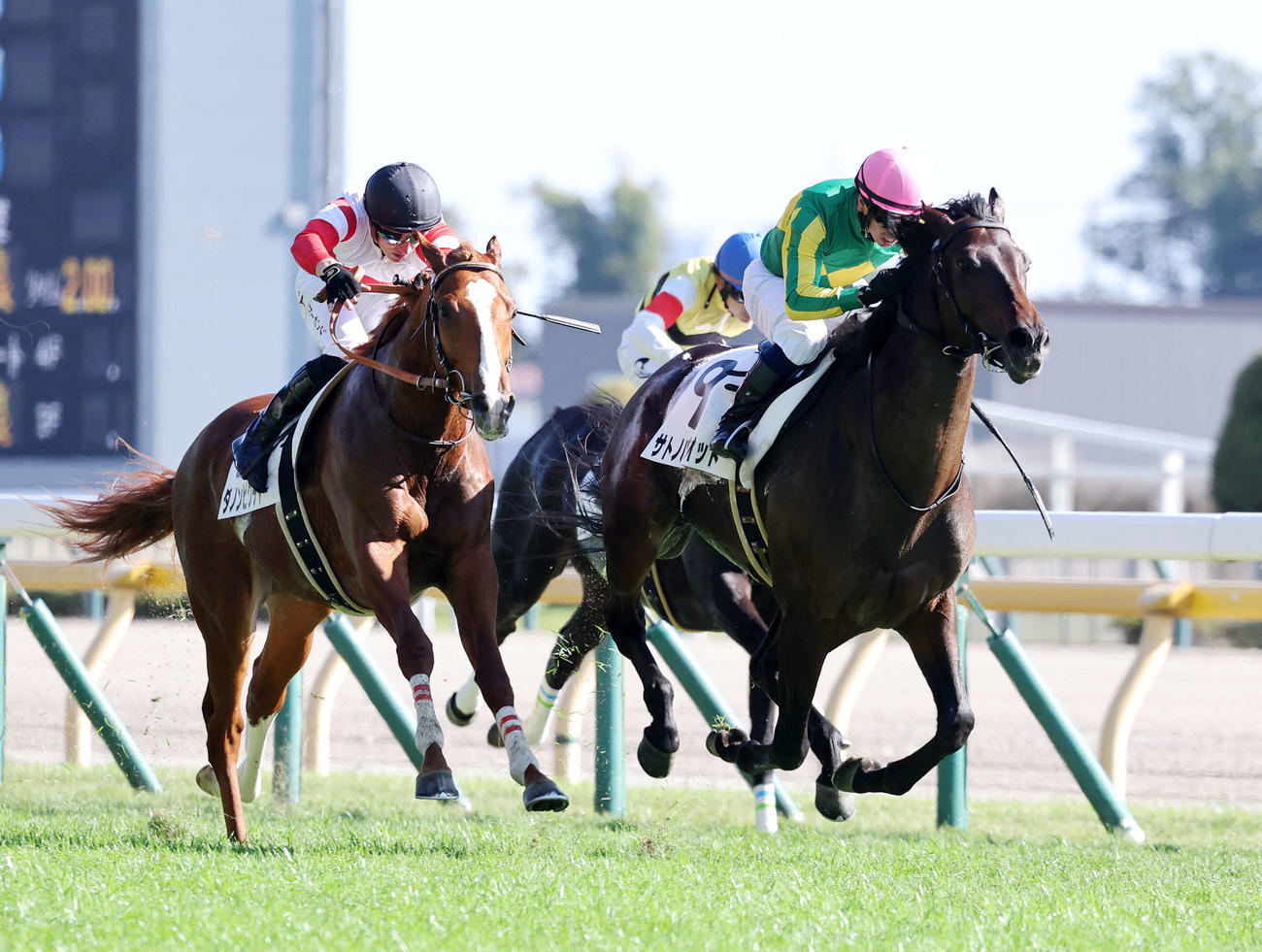 東京5R、新馬戦を制したサトノパトリオット（右）と北村宏司騎手（撮影・鈴木正人）