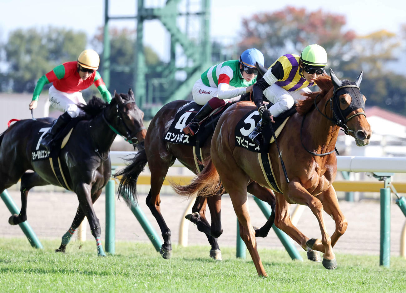 東京8R、赤松賞を制したマピュース（右）と田辺裕信騎手（撮影・鈴木正人）