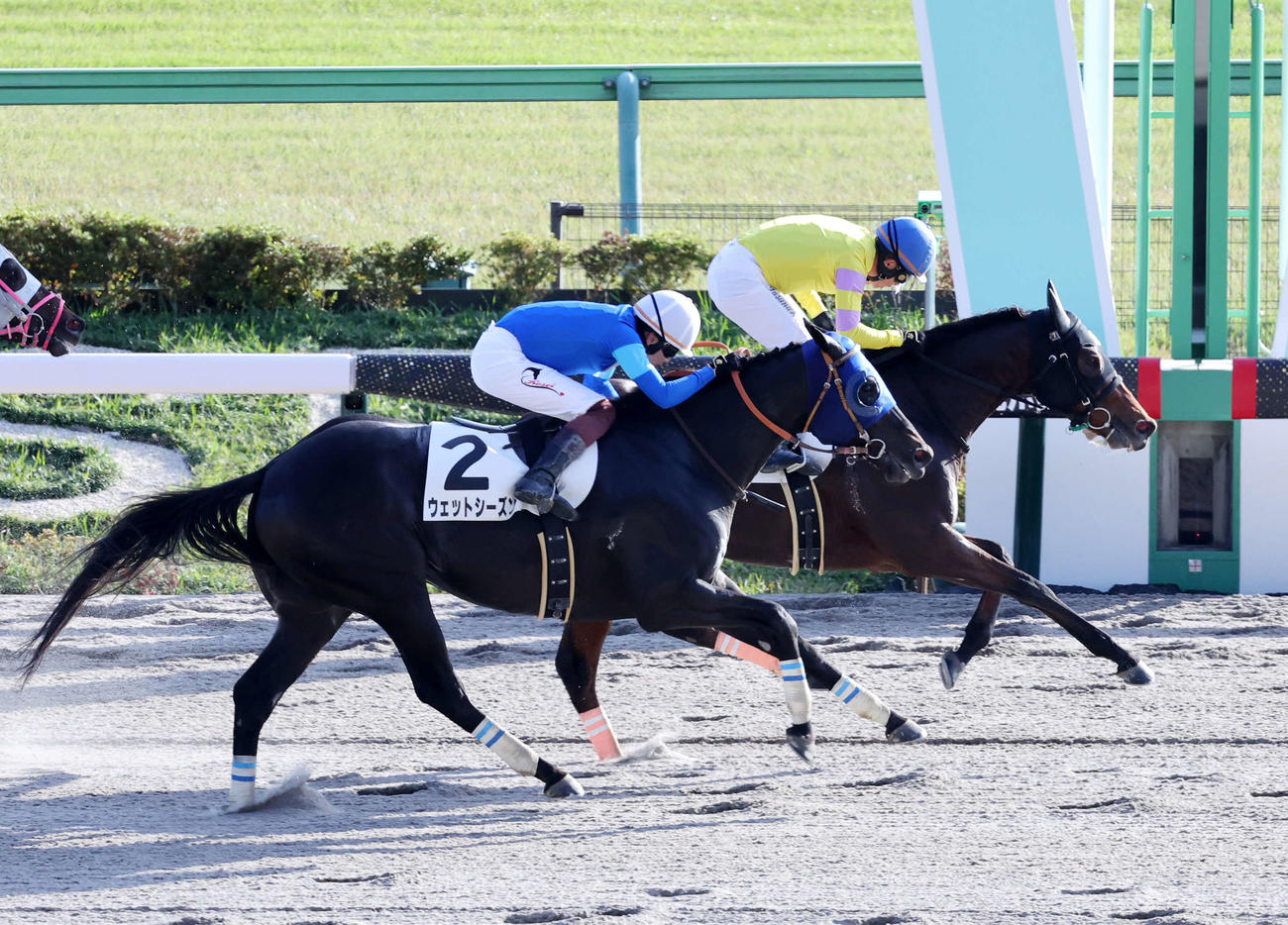 東京9R・3歳上2勝クラスを制したラフエイジアン（右）と岩田康誠騎手（撮影・鈴木正人）