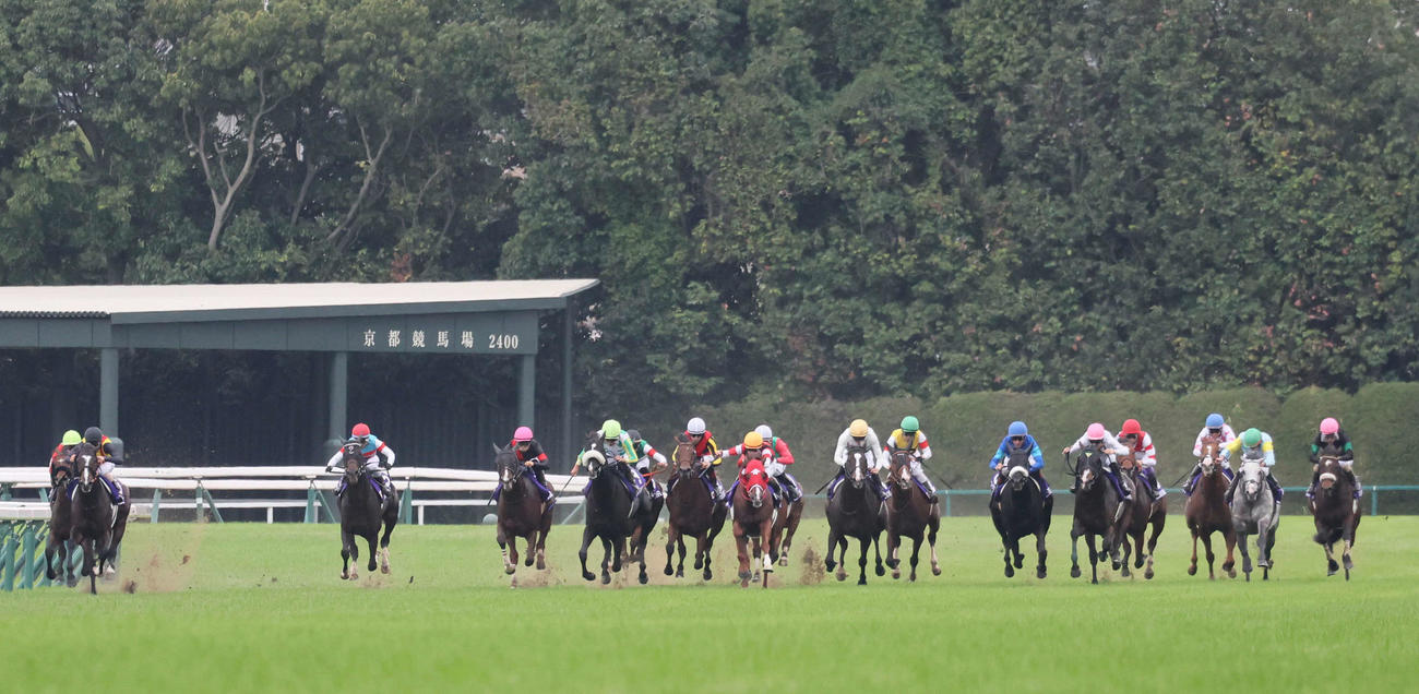 マイルCSを制したソウルラッシュと団野大成騎手（左から8頭目）（撮影・宮崎幸一）
