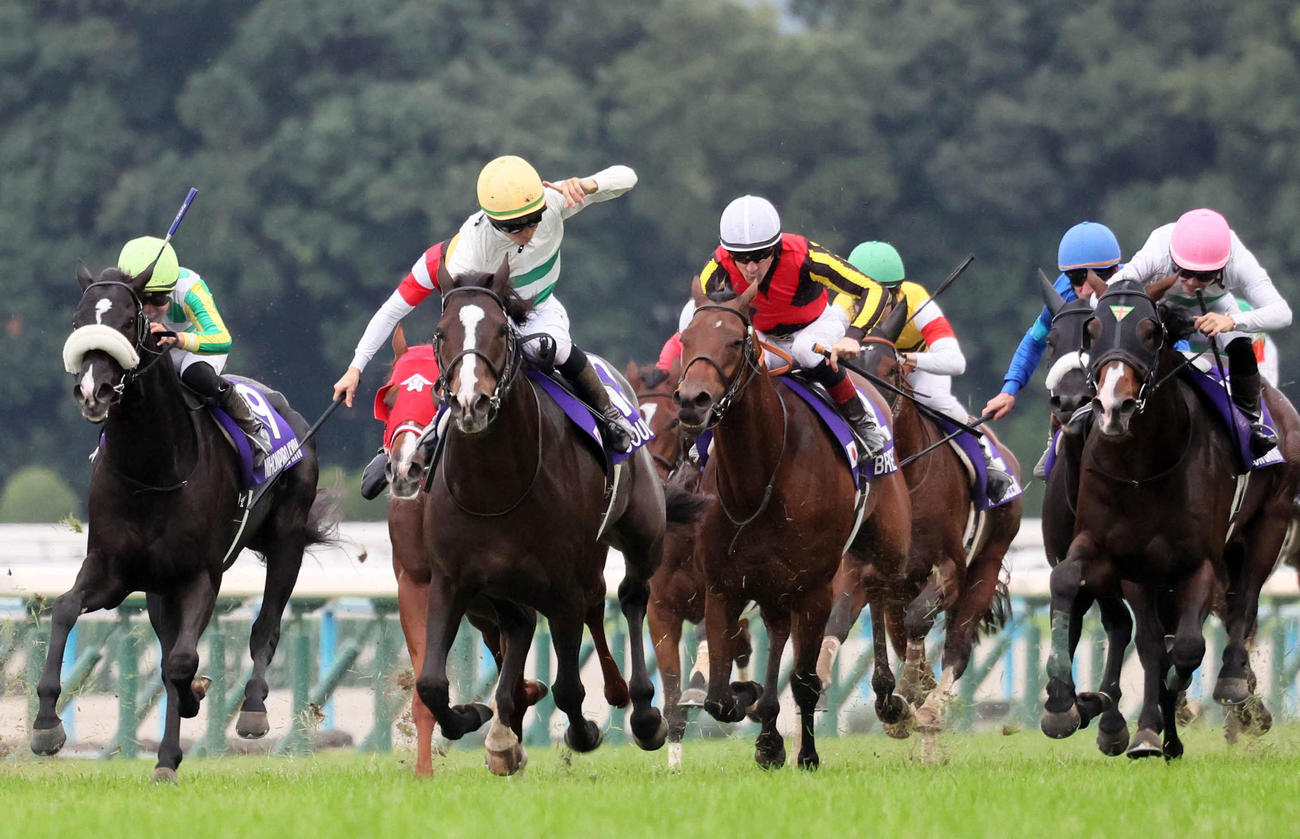 京都11R、マイルCSを制したソウルラッシュと団野騎手。右端は2着のエルトンバローズ（撮影・宮崎幸一）
