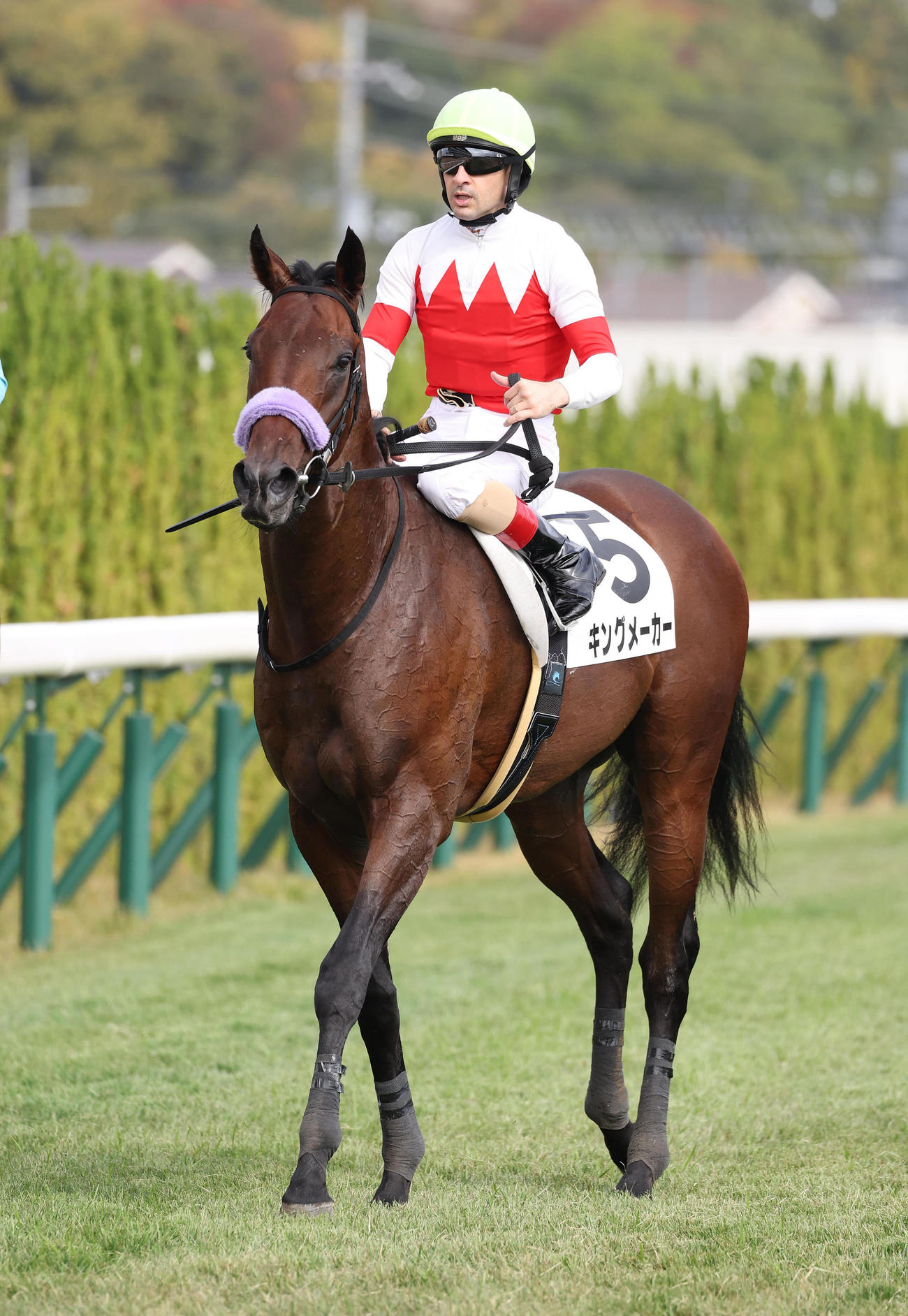 京都5R、新馬戦を制したキングメーカー（撮影・白石智彦）