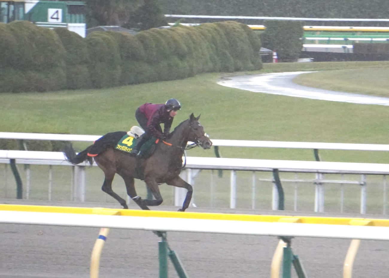 東京競馬場のダートコースで調整したファンタスティックムーン