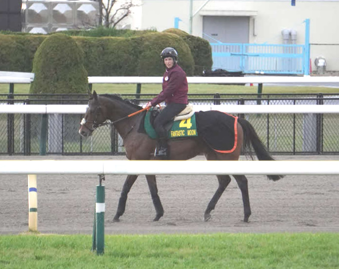 東京競馬場のダートコースで調整したファンタスティックムーン