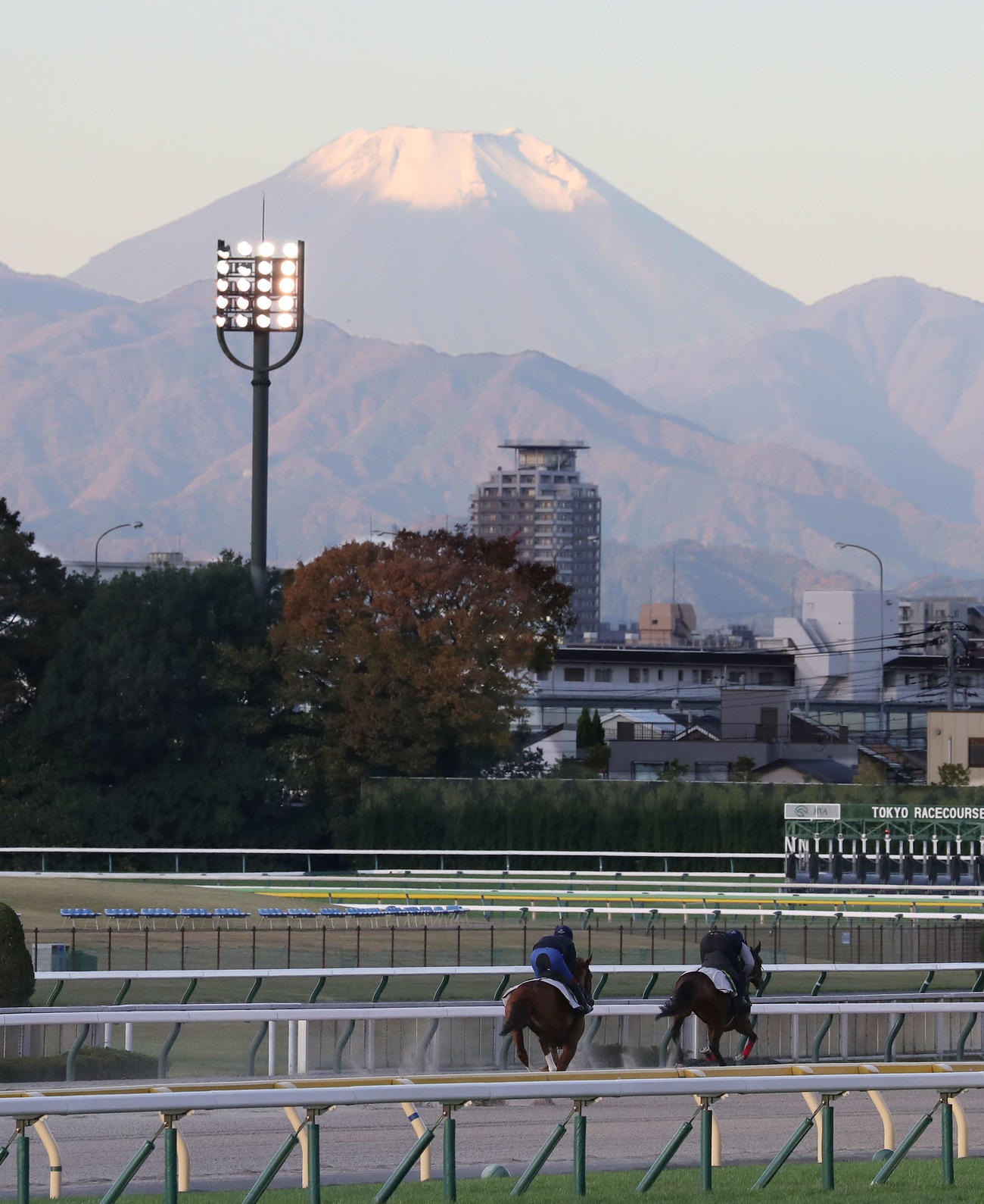富士山を望む東京競馬場のダートコースで帯同馬（左）と調整するゴリアット（撮影・丹羽敏通）