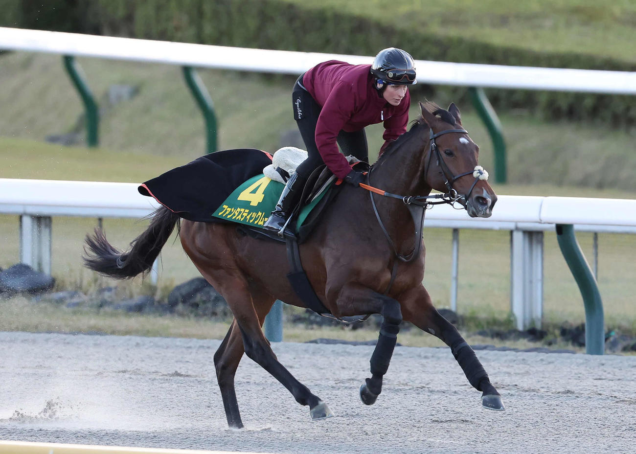 シュタインベルク師を背に東京競馬場ダートコースで調整するファンタスティックムーン（撮影・丹羽敏通）
