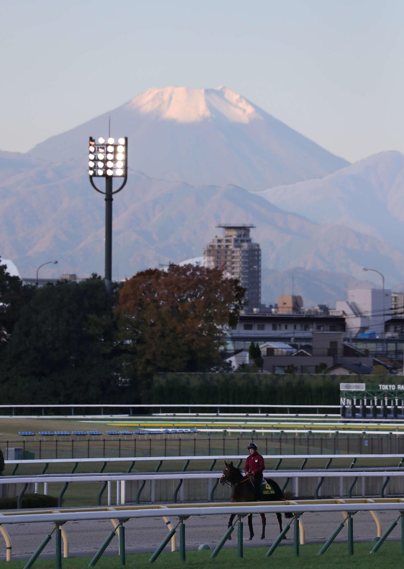 富士山を望む東京競馬場のダートコースで調整し引き揚げるファンタスティックムーン（撮影・丹羽敏通）