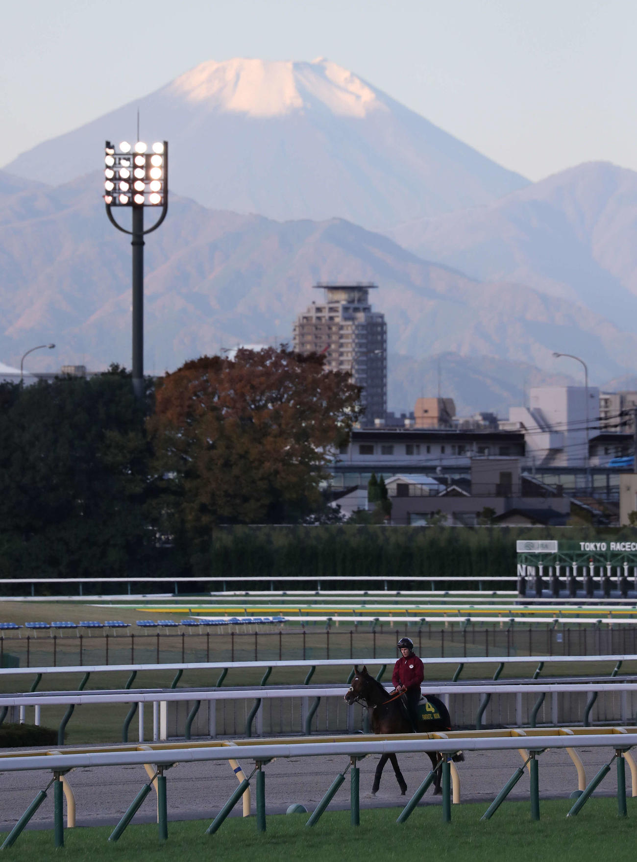 富士山を望む東京競馬場のダートコースで調整し引き揚げるファンタスティックムーン（撮影・丹羽敏通）