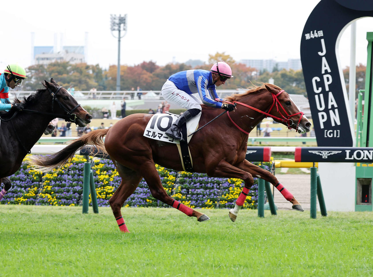2歳新馬を制したエルマーゴとトム・マーカンド騎手（2024年11月16日撮影）
