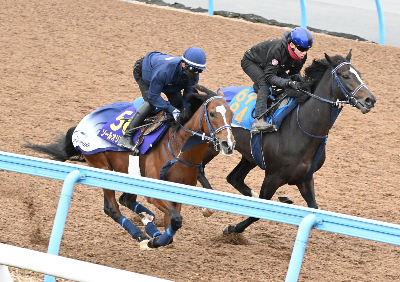 美浦ウッドで2頭併せて追い切るソールオリエンス（左）（撮影・千葉一成）