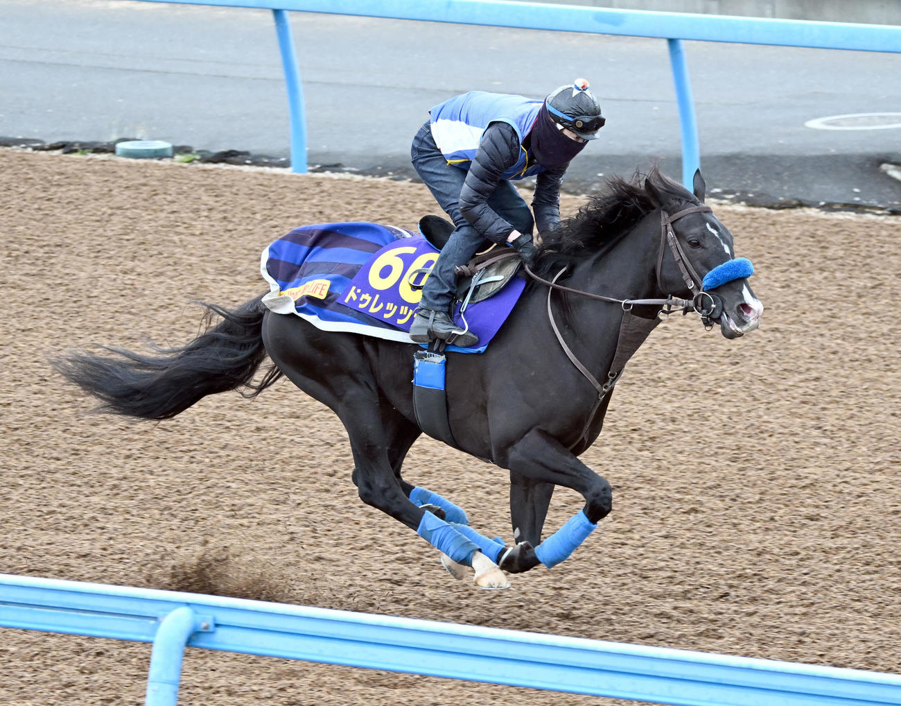 美浦ウッドで単走で追い切るドゥレッツァ（撮影・千葉一成）