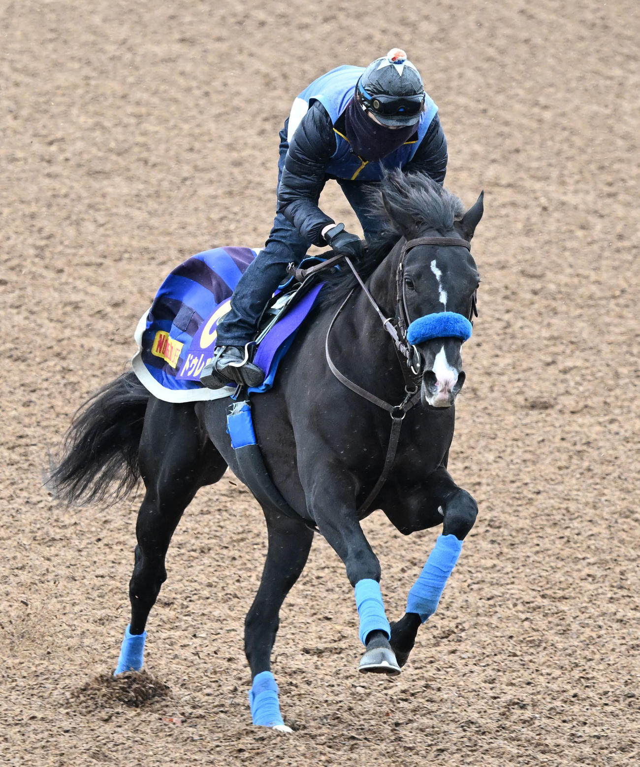 美浦ウッドで単走で追い切るドゥレッツァ（撮影・千葉一成）