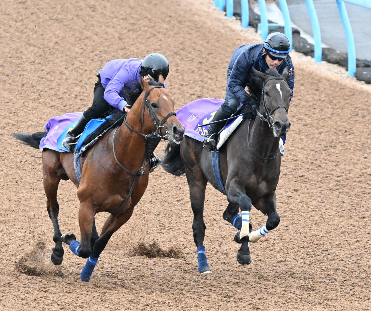 美浦ウッドでリプレゼント（左）と2頭併せて追い切るスターズオンアース（撮影・千葉一成）
