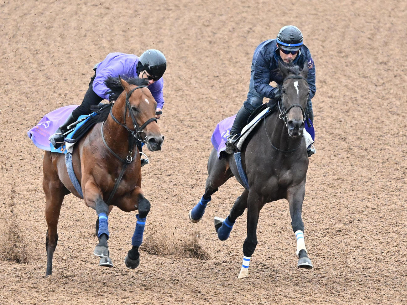 美浦ウッドでリプレゼント（左）と2頭併せて追い切るスターズオンアース（撮影・千葉一成）