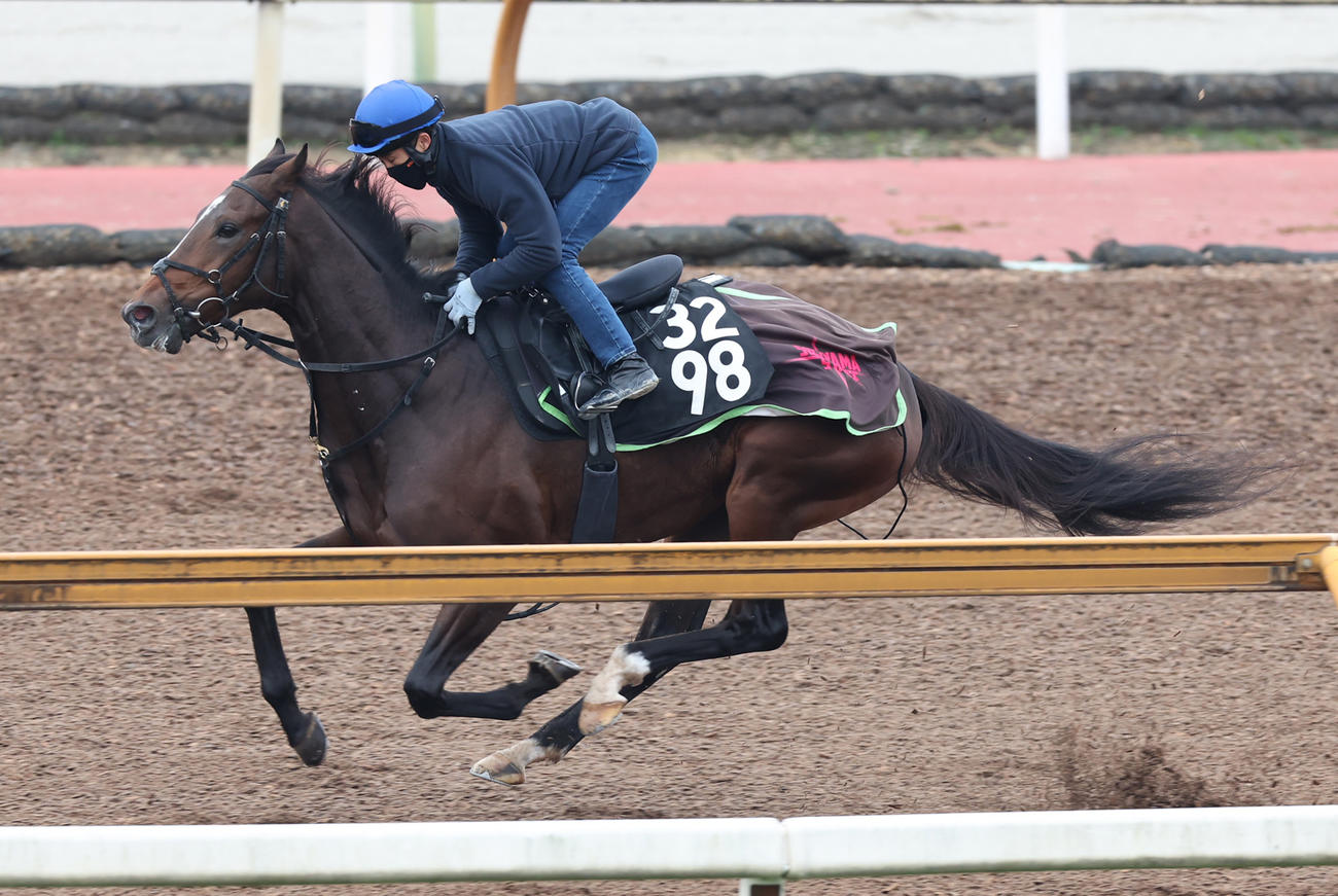 CWコースで追い切るジョバンニ