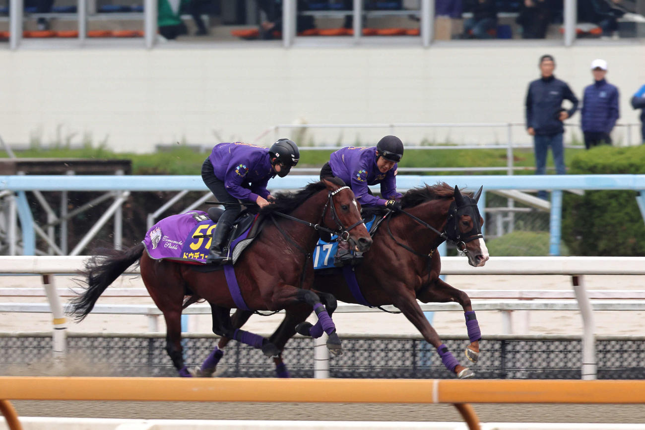 武豊騎手（後方右）が見守る中、ポリトラックで仕上げられたドウデュース（左）